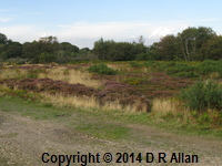 image: Browndown Common, link to Gosport