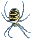 image: Wasp Spider. Link to larger images